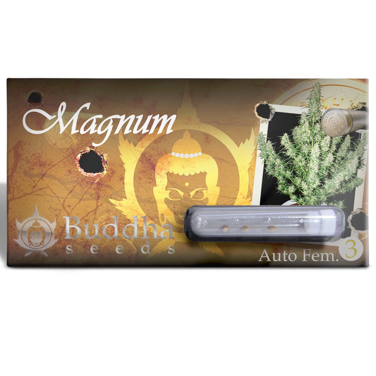 Magnum 3 Semillas Buddha Seeds