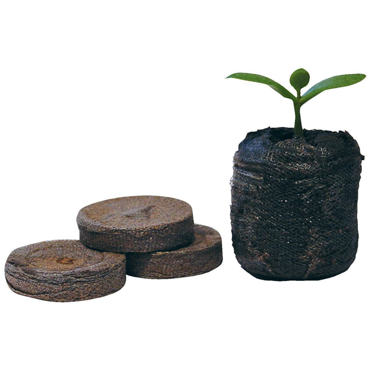 Pack 10 Discos Germinadores 42x43 Jiffy