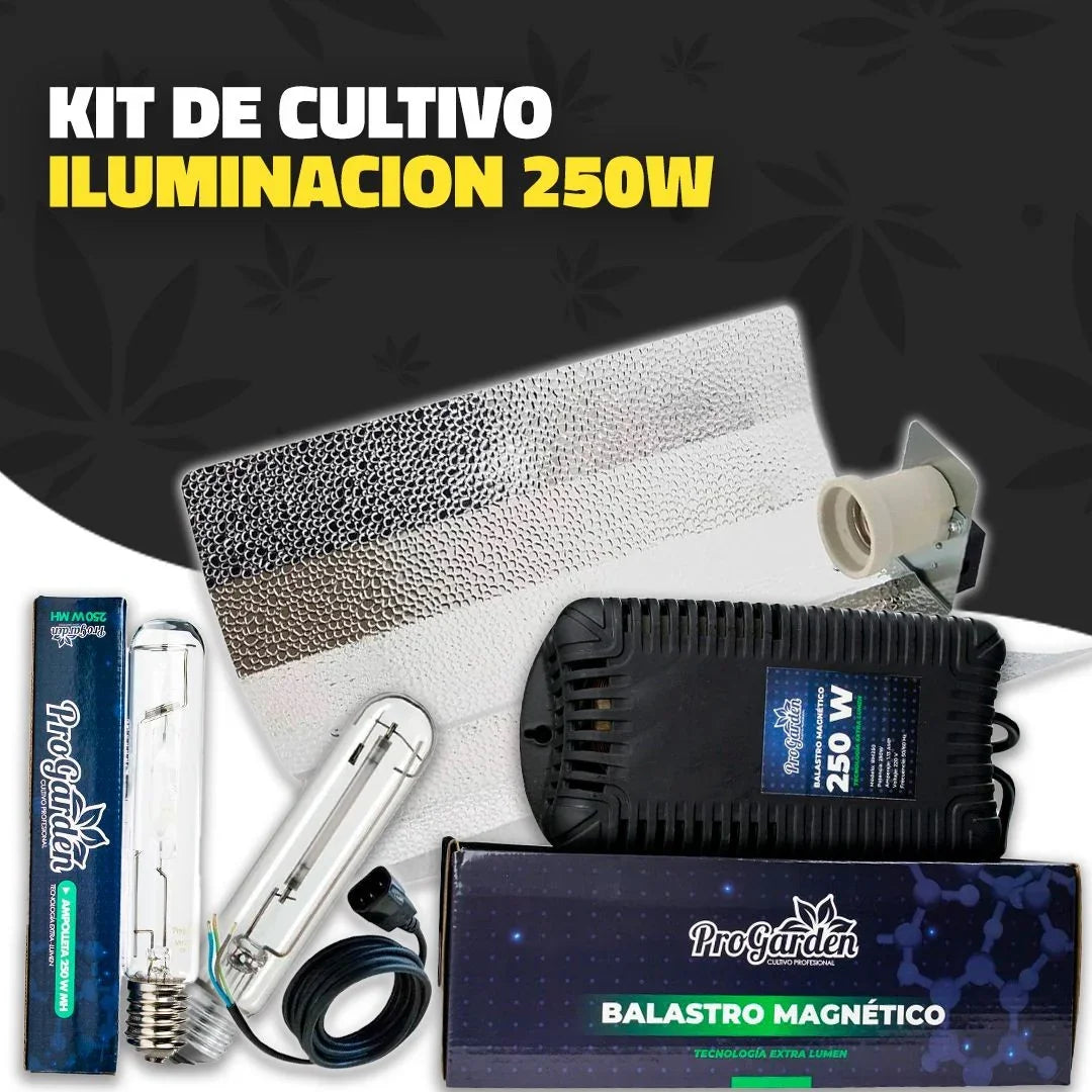 Kit De Iluminacion indoor 250 Watts