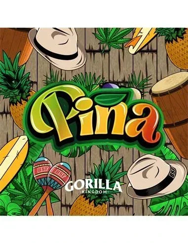 Gorilla Piña GK 12 Semillas BSF Seeds