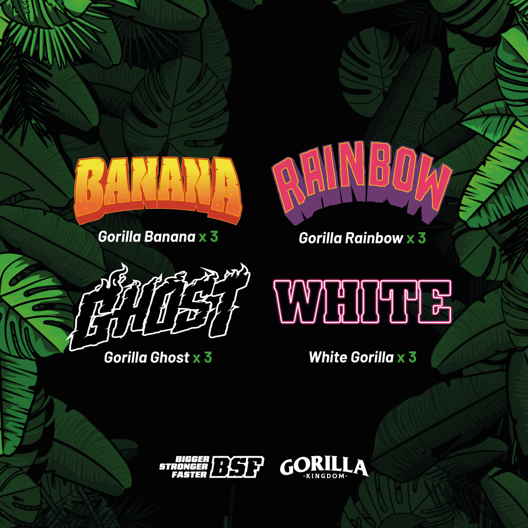 Gorilla Familia Feminizada Mix - BSF Seeds #2