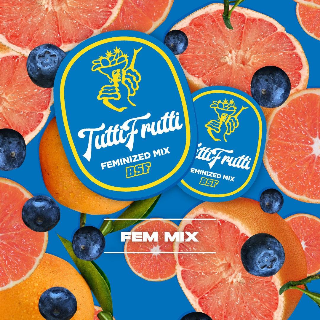 Tutti Frutti Feminizada Mix - BSF Seeds