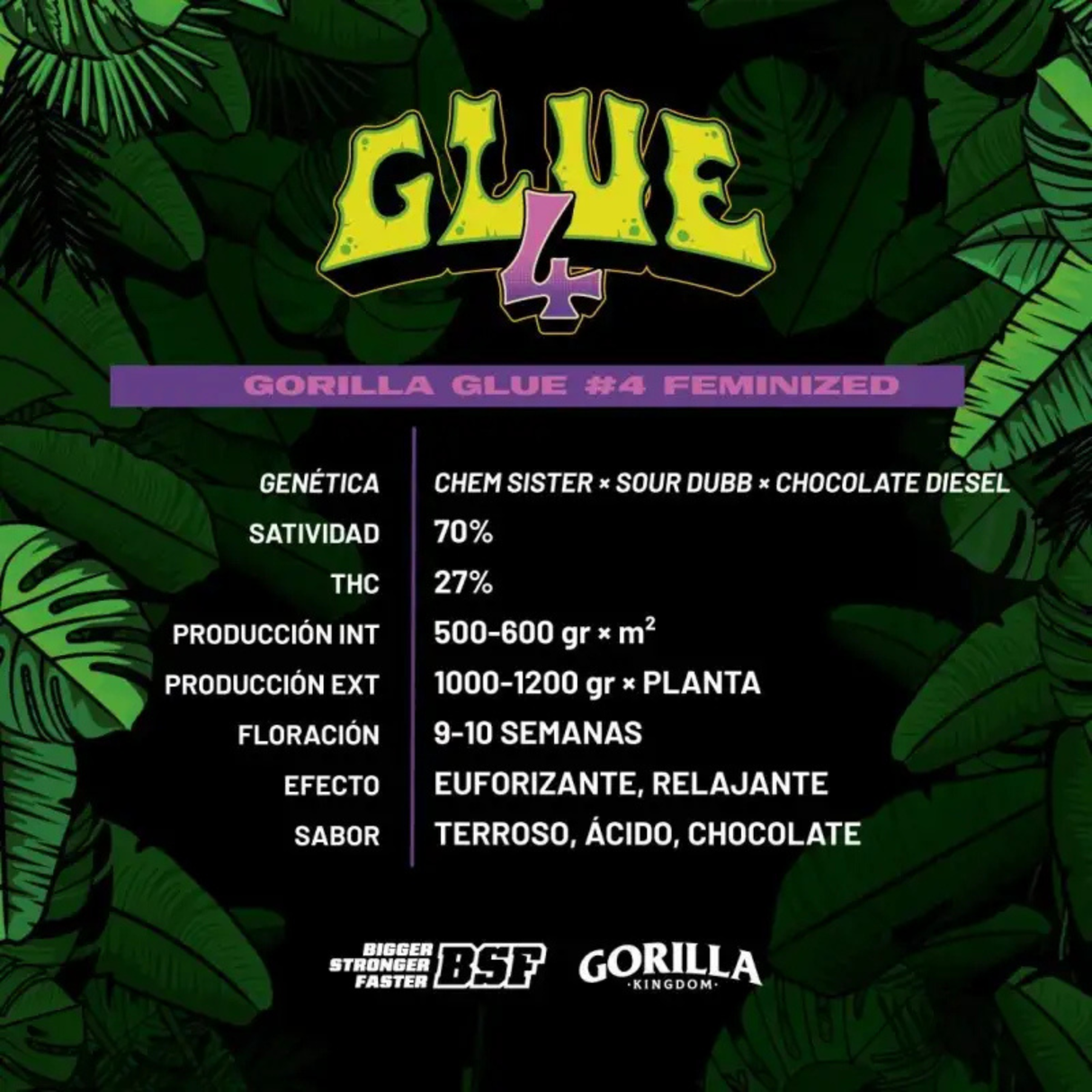 Gorilla Glue N4 4 Semillas Bsf Seeds