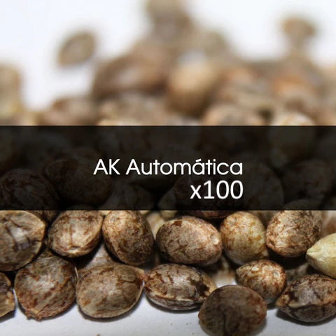 Ak Automática A Granel 100 Unidades