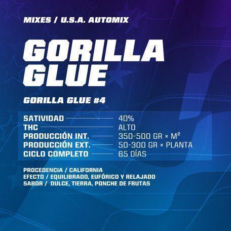 Ficha informativa de semillas Gorilla Glue, variedad Automix USA, fondo azul con detalles de cultivo y sabor.