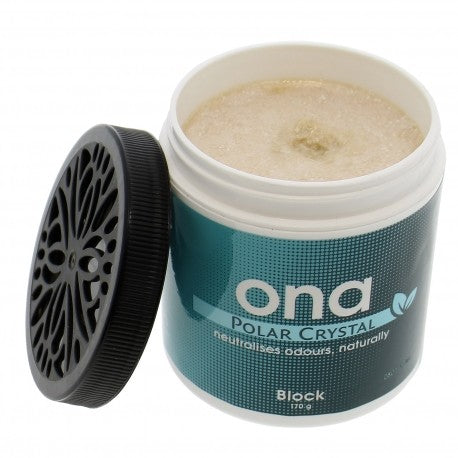 Ambientador Ona Block Polar Crystal 170G