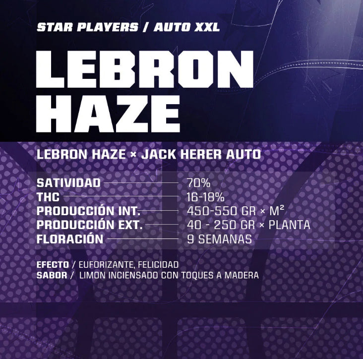 Auto Lebron Haze XXL 4 semillas BSF Seeds