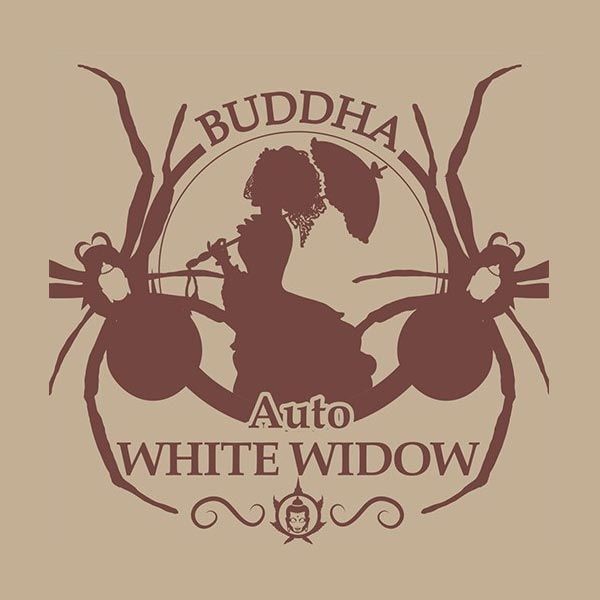 Auto White Widow 3 Semillas Buddha Classics