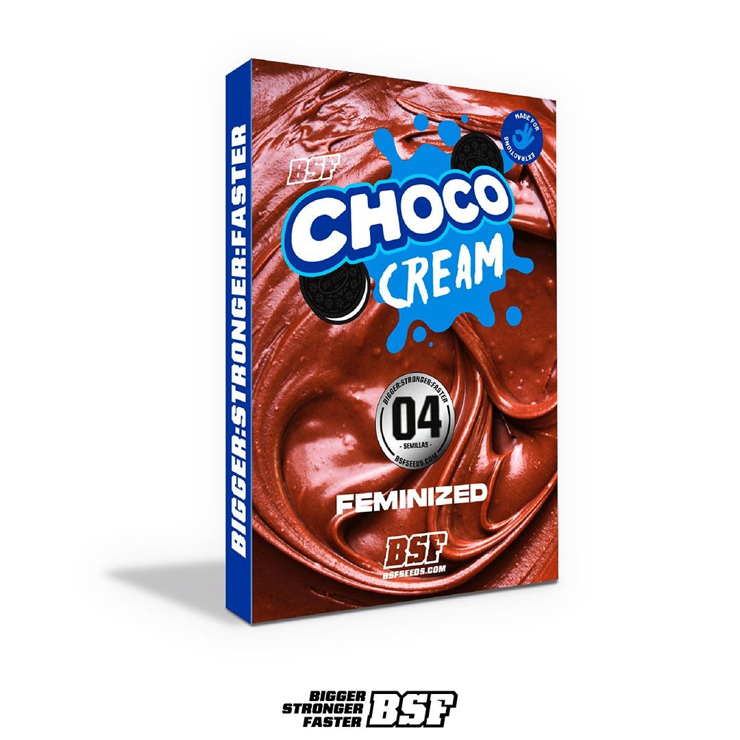 Choco Cream 4 Semillas Bsf Seeds
