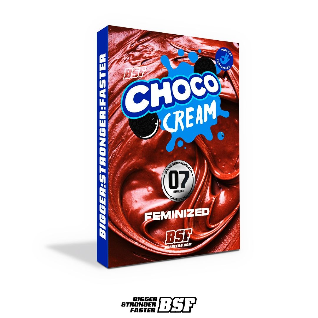 Choco Cream 7 Semillas Bsf Seeds