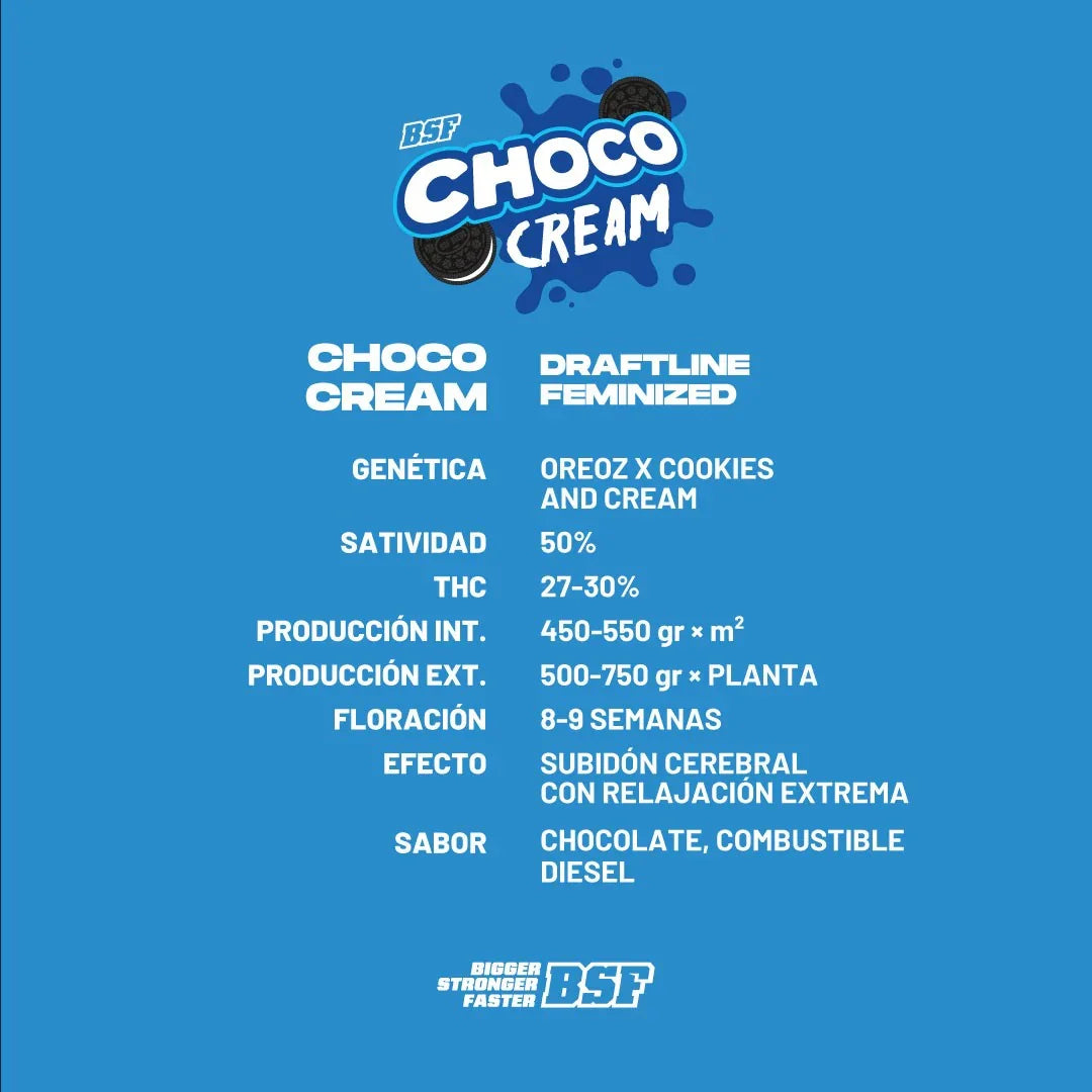 Choco Cream 7 Semillas Bsf Seeds