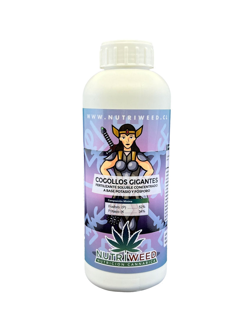 Cogollos Gigantes 150gr - Nutriweed