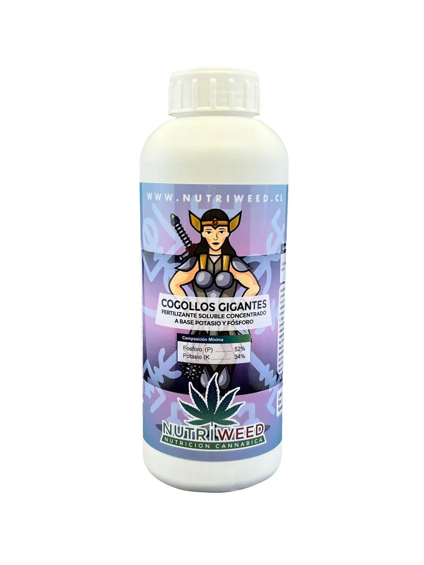 Cogollos Gigantes 150gr - Nutriweed