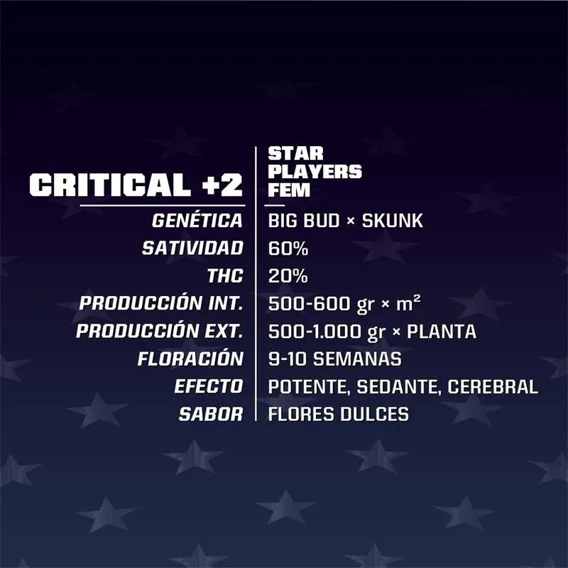 Ficha técnica de semillas feminizadas Critical +2, genética Big Bud x Skunk, información de producción, floración y sabor.