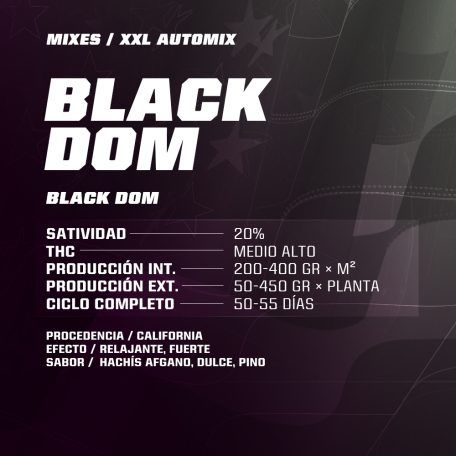 Dealer Deal XXL Automix 12 Semillas BSF Seeds