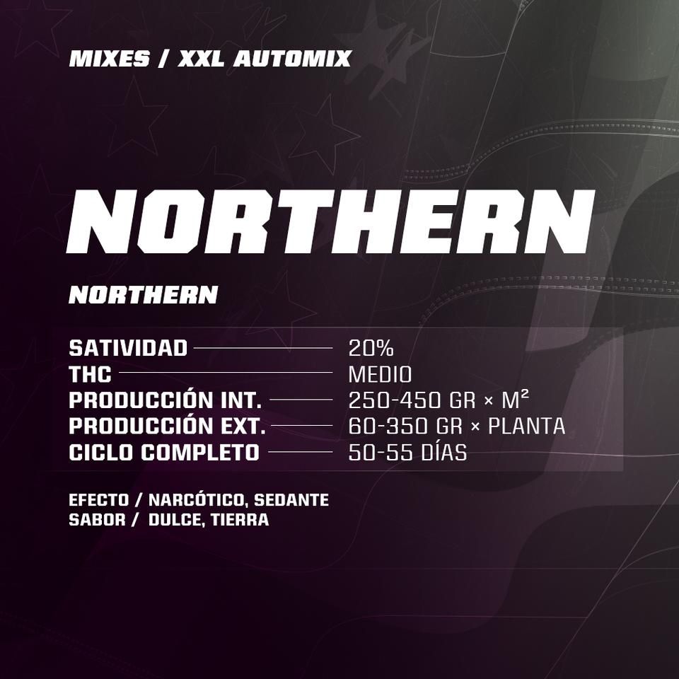 Dealer Deal XXL Automix 12 Semillas BSF Seeds