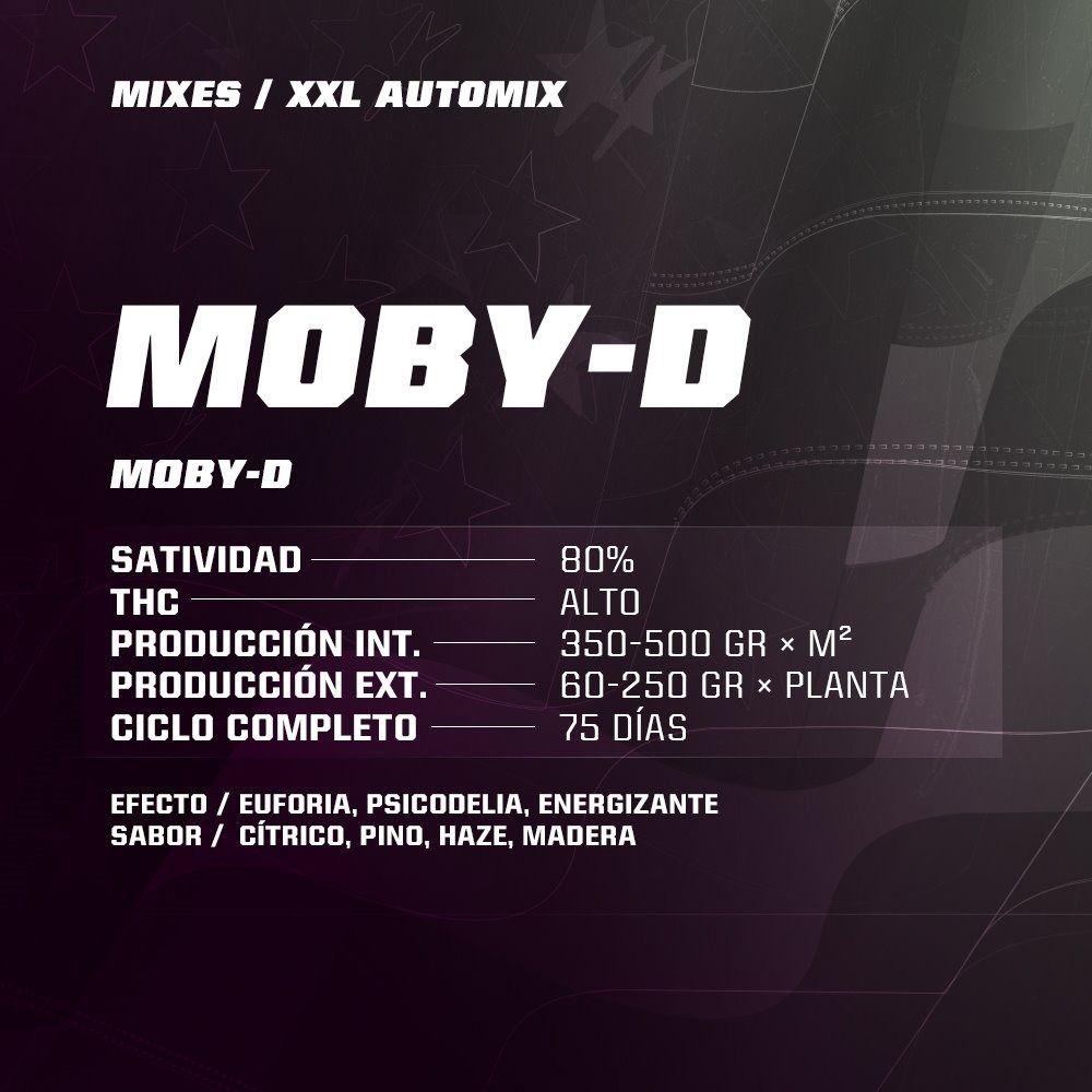 Dealer Deal XXL Automix 12 Semillas BSF Seeds