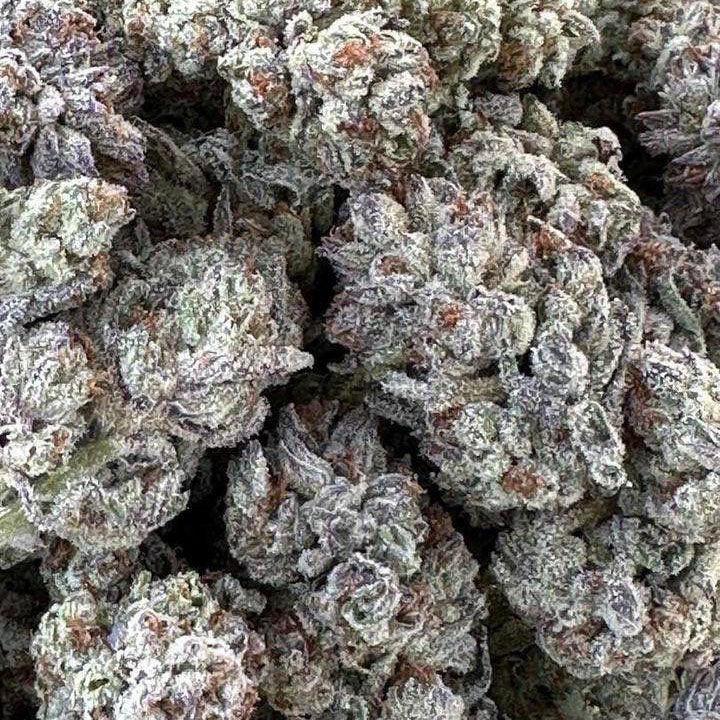 Double Fire Headband 3 Semillas Humboldt Seeds