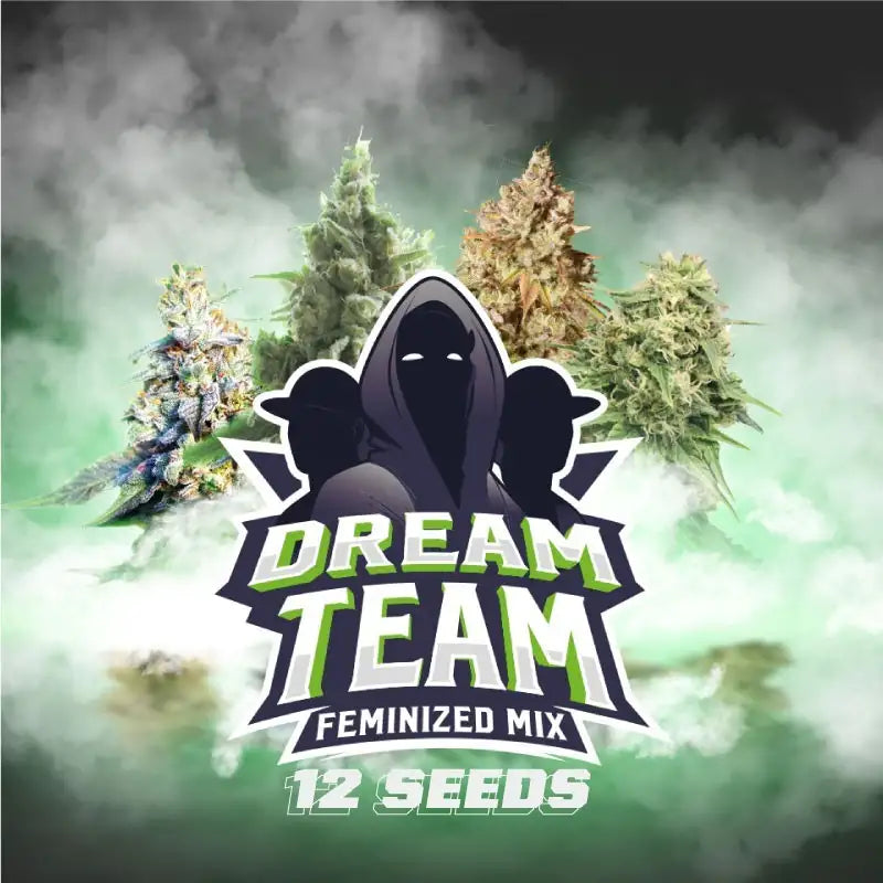 Dream Team Feminized Mix 12 Semillas Bsf Seeds