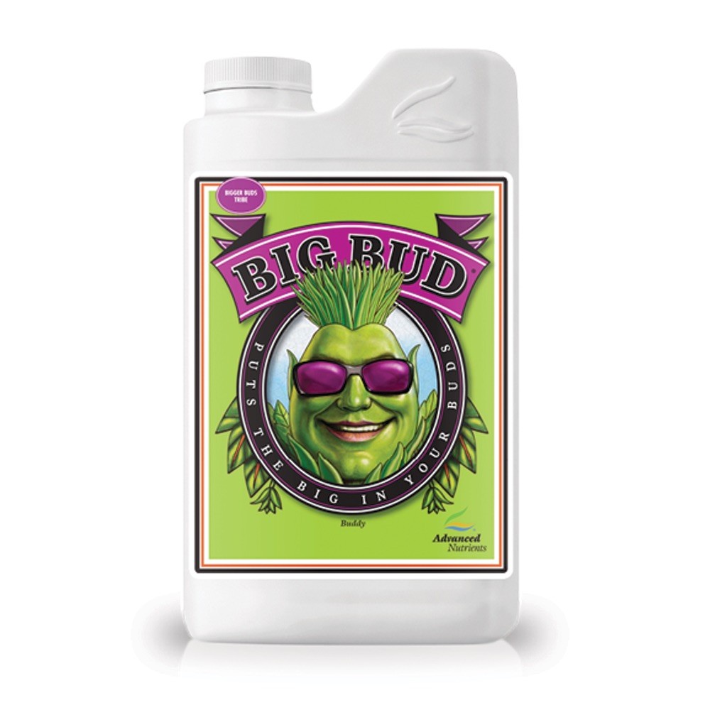 Fertilizante Big Bud 250 cc