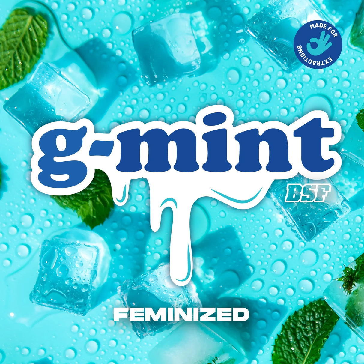 G-Mint 12 Semillas Bsf Seeds