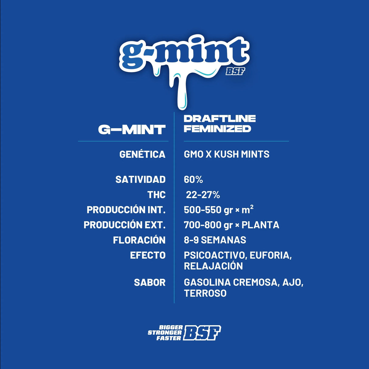 G-Mint 12 Semillas Bsf Seeds