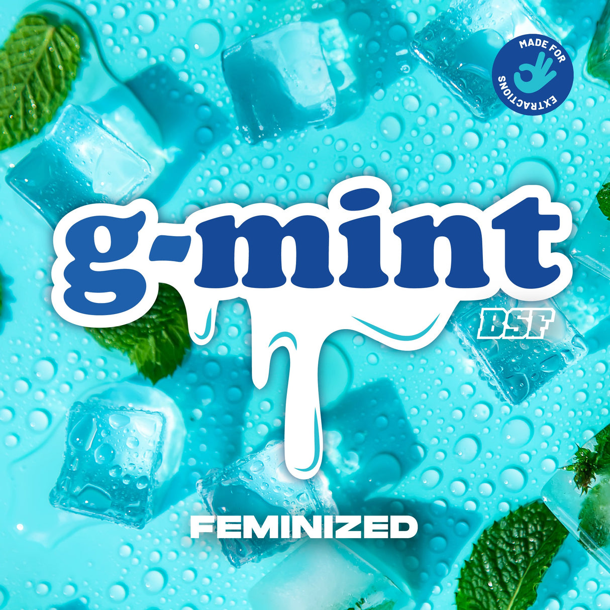 G-Mint 4 Semillas Bsf Seeds