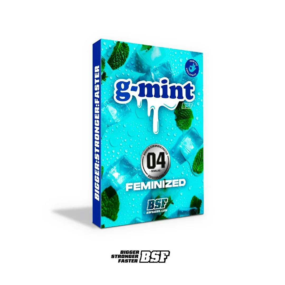 G-Mint 4 Semillas Bsf Seeds