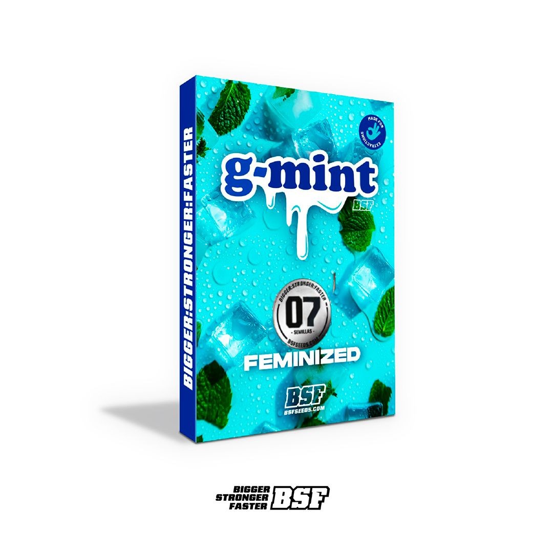 G-Mint 7 Semillas Bsf Seeds