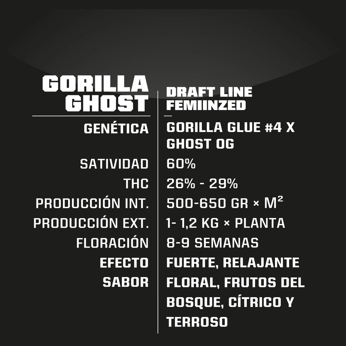 Gorilla Ghost 7 Semillas 2021 Bsf Seeds