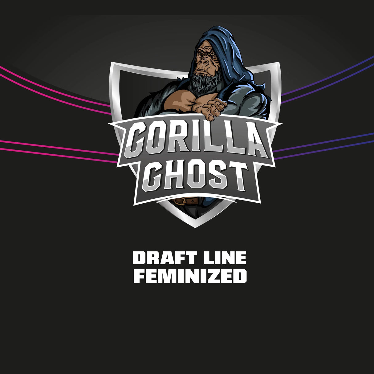 Gorilla Ghost 7 Semillas 2021 Bsf Seeds
