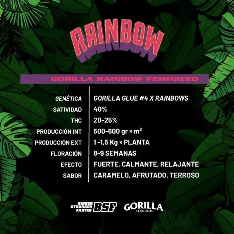 Ficha de semillas Gorilla Rainbow feminizadas, datos de genética y características, fondo de hojas verdes.