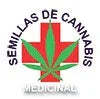 Logotipo con hoja verde delante de cruz roja y texto 'Semillas de cannabis medicinal'.
