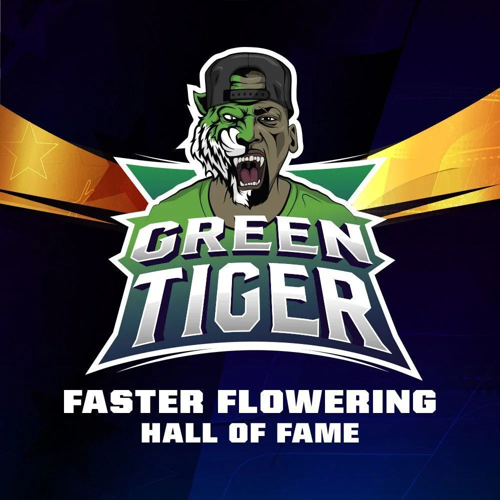 Logo Green Tiger con personaje mitad humano mitad tigre verde sobre fondo oscuro, texto promocional abajo.