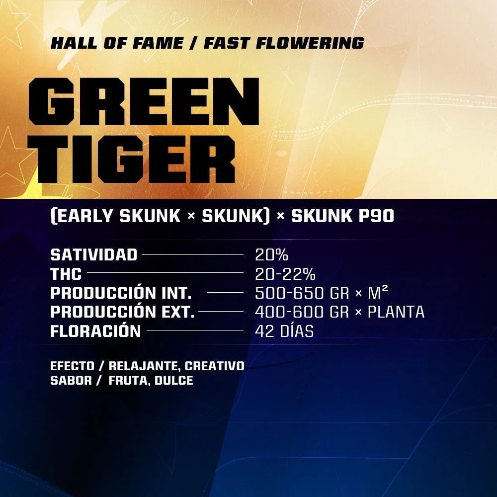 Ficha de semillas Green Tiger, variedad sativa, con 20% satividad, THC 20-22%, floración 42 días.