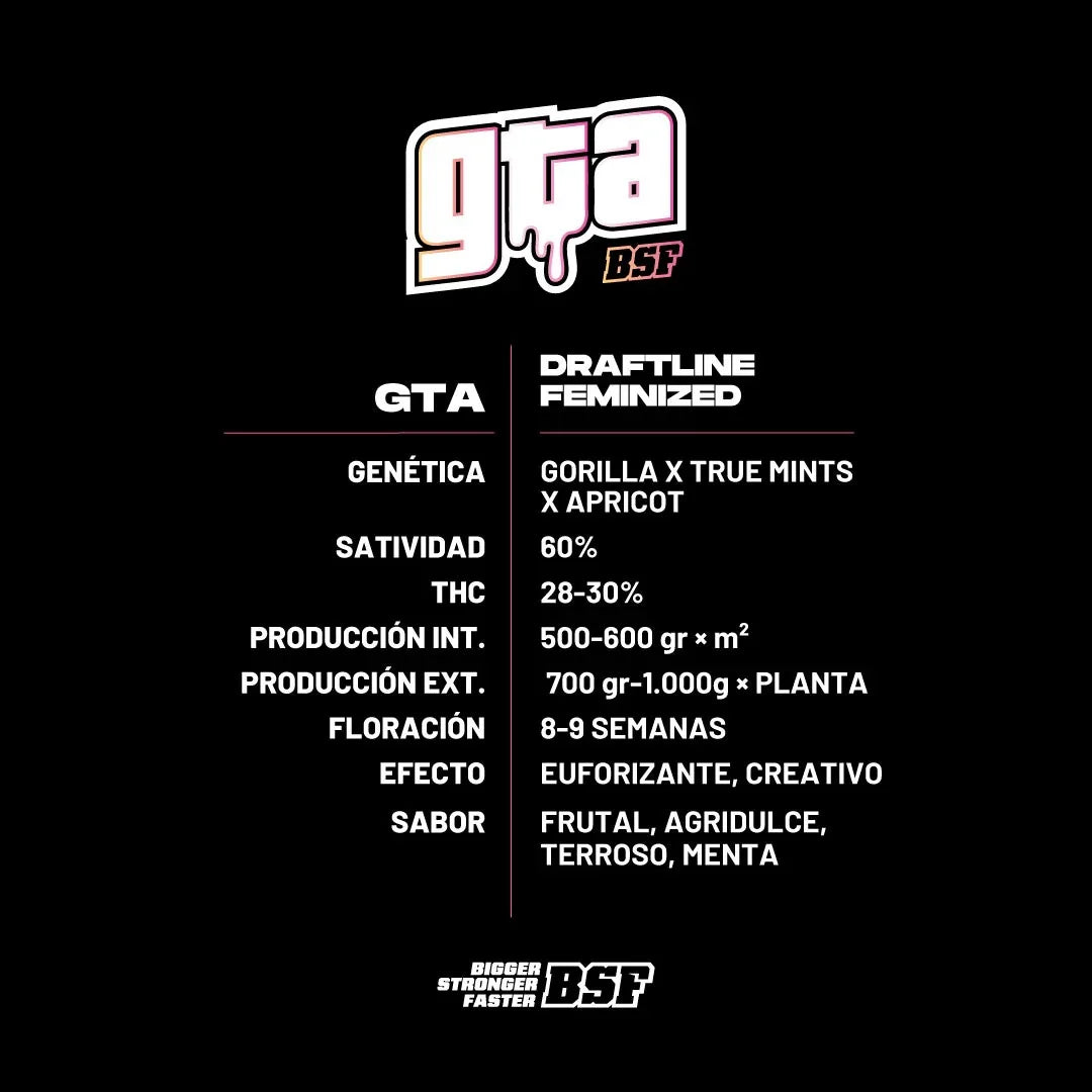 GTA 4 Semillas Bsf Seeds