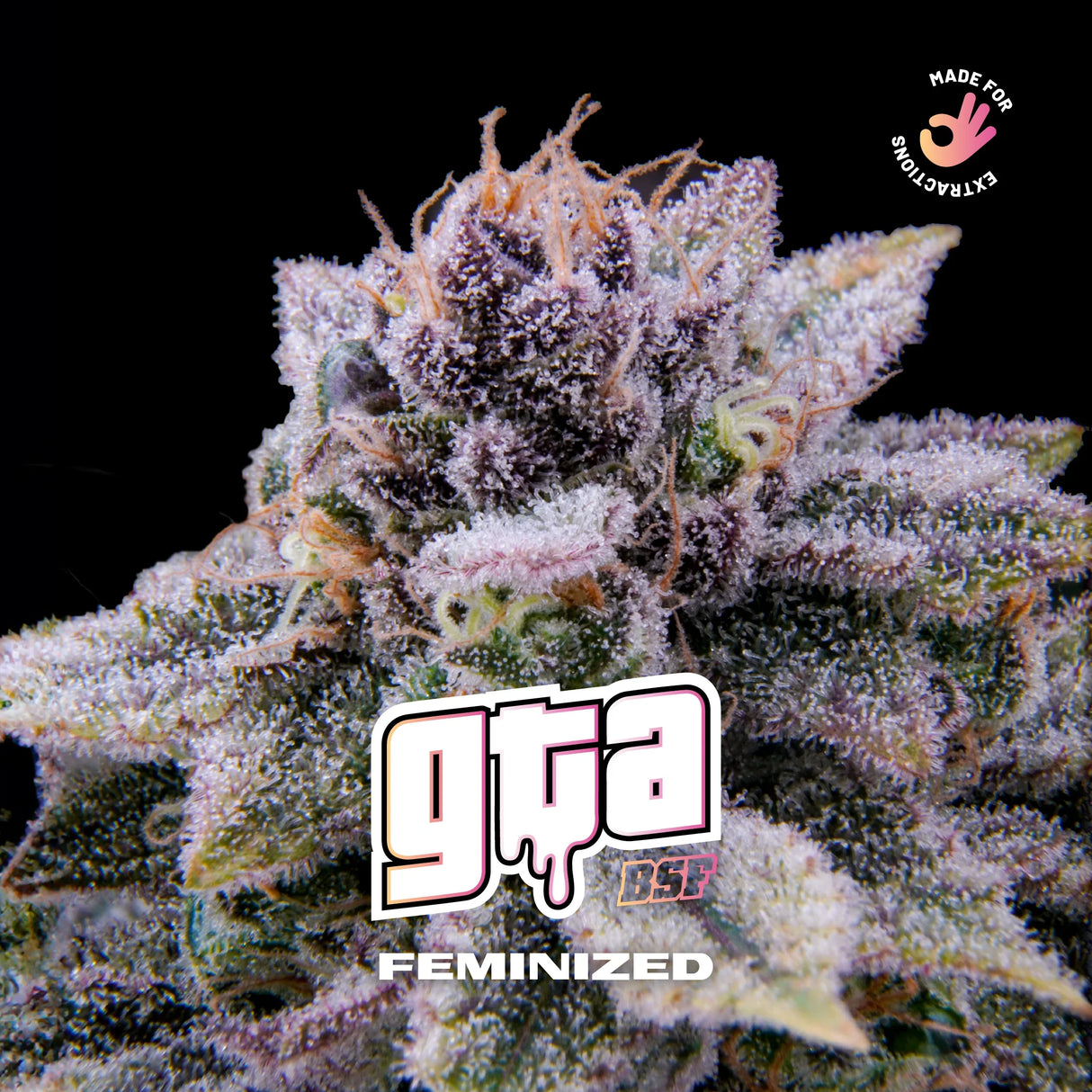 GTA 4 Semillas Bsf Seeds