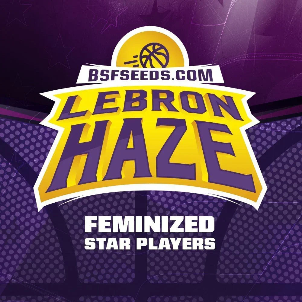 Etiqueta de semillas LeBron Haze BSF Seeds fondo púrpura, texto feminized star players y balón de baloncesto.