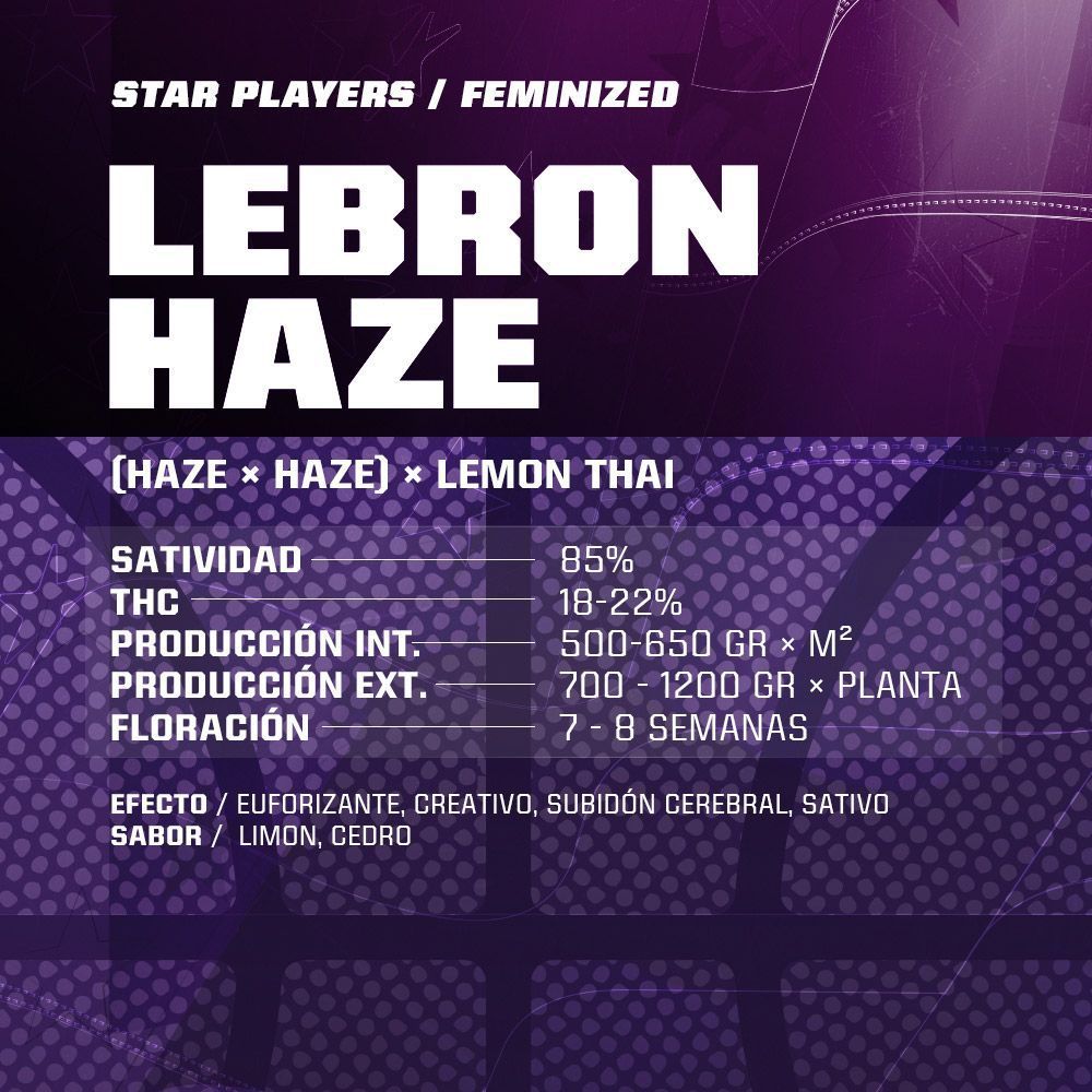 Lebron Haze 4 semillas BSF Seeds