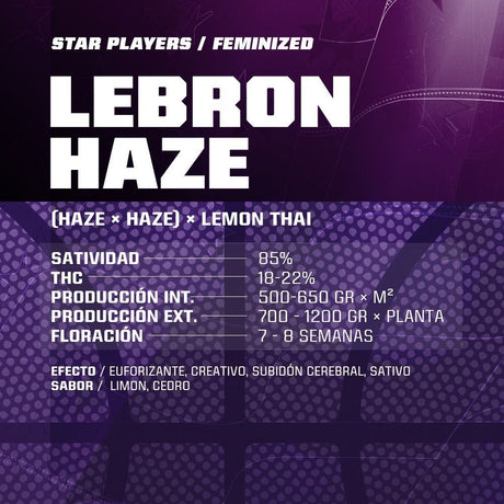 Lebron Haze 4 semillas BSF Seeds