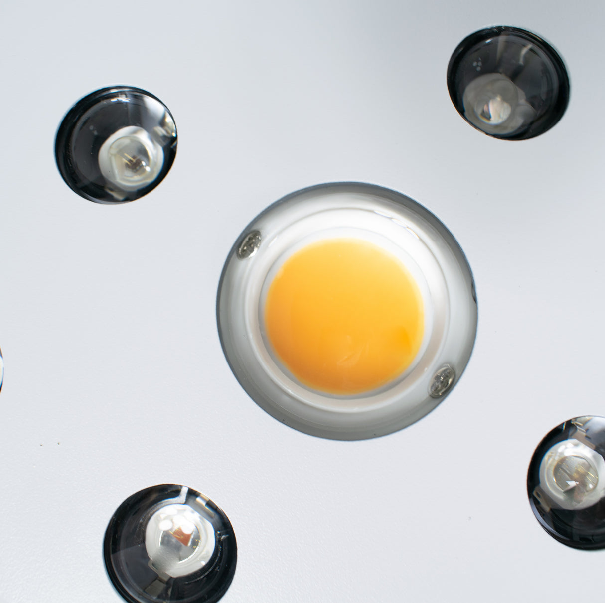 Led de cultivo Infinity 4 COB Extra Lumen