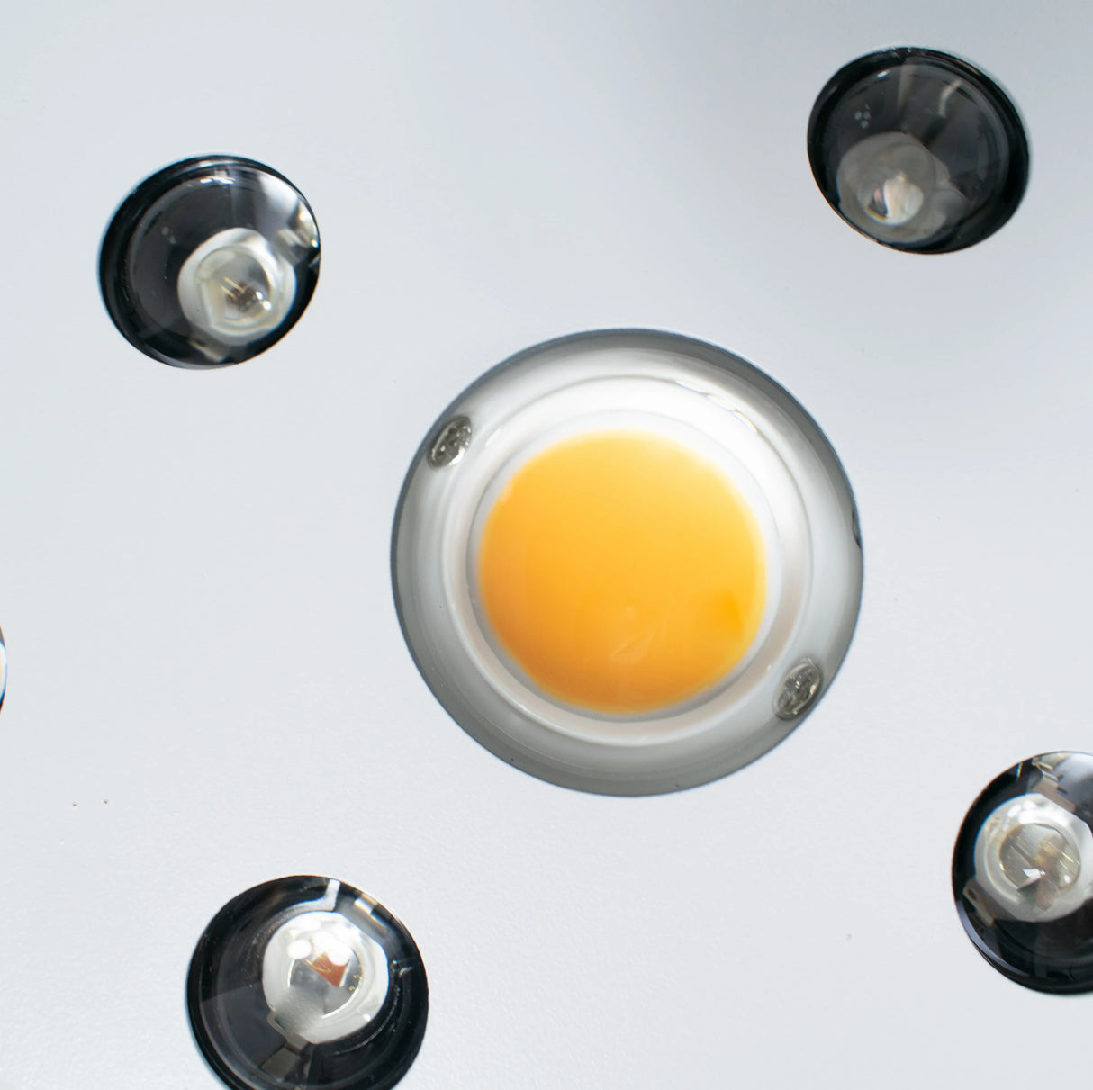 Detalle de panel LED de cultivo indoor con tecnología COB y lentes ópticas para plantas