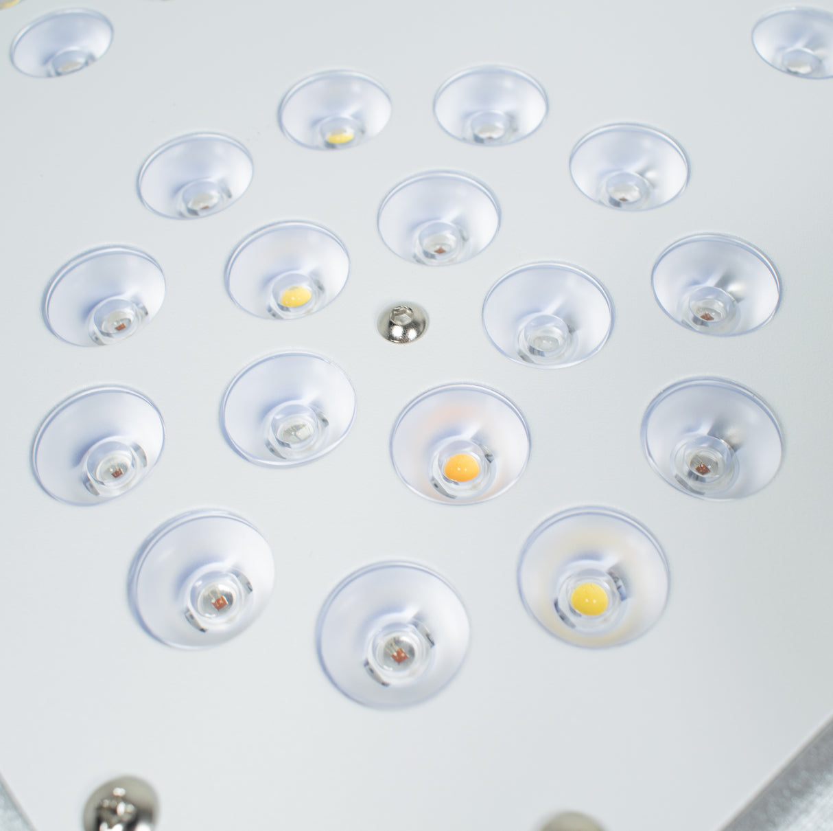 Led de cultivo Infinity 4 Extra Lumen White
