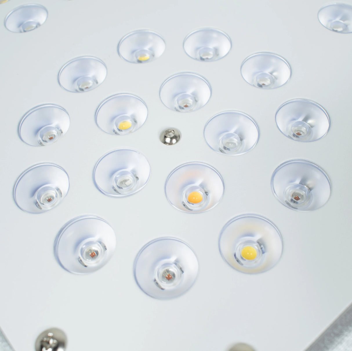 Detalle de panel LED de cultivo indoor con lentes y chips de luz blanca para plantas