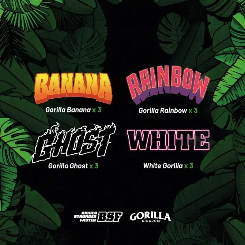 Imagen promocional de mix de semillas Gorilla Banana, Gorilla Rainbow, Gorilla Ghost y White Gorilla con fondo de hojas verdes.