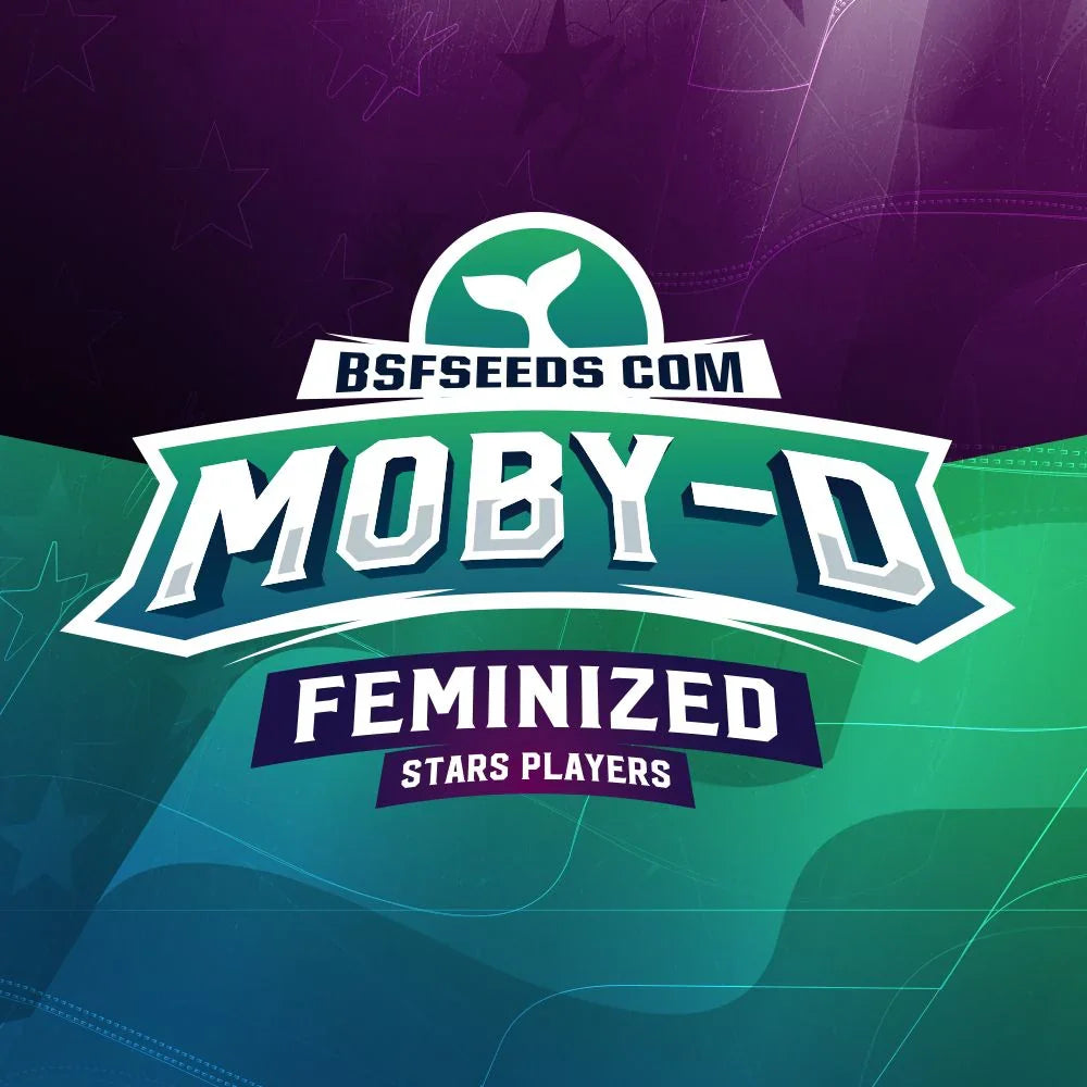 Empaque colorido de semillas Moby-D feminizadas, texto destacado y diseño moderno.
