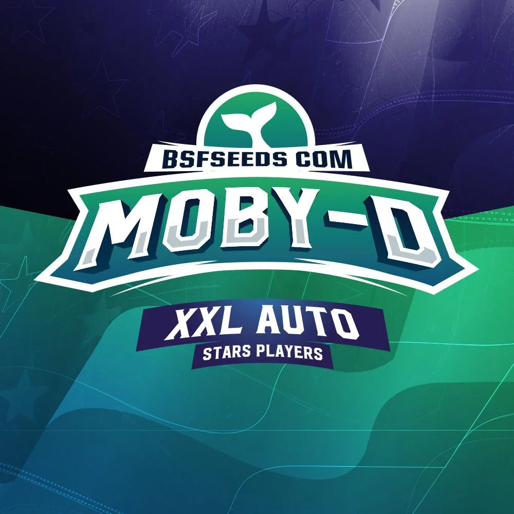 Etiqueta de semillas Moby-D XXL Auto, fondo verde y azul con logo y texto destacado.