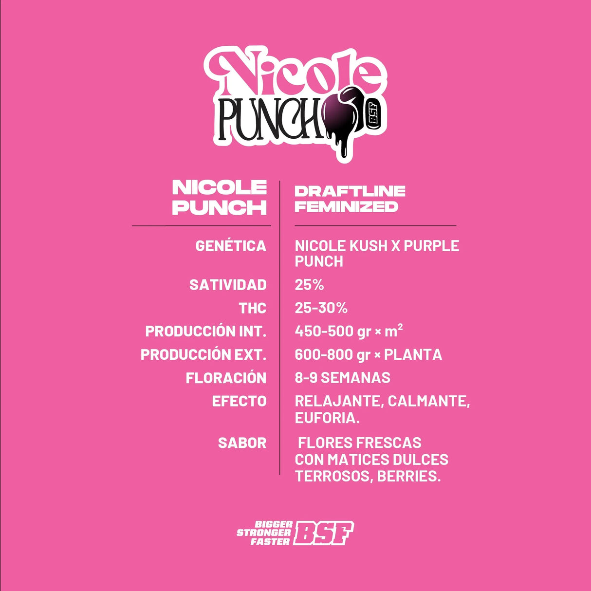 Nicole Punch 4 Semillas Bsf Seeds