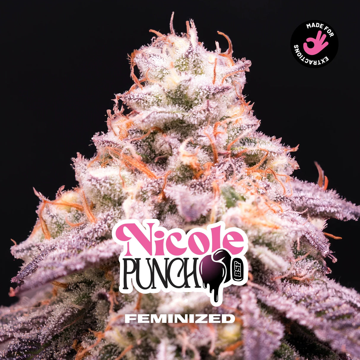 Nicole Punch 4 Semillas Bsf Seeds