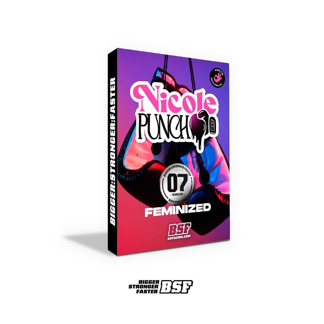 Nicole Punch 7 Semillas Bsf Seeds